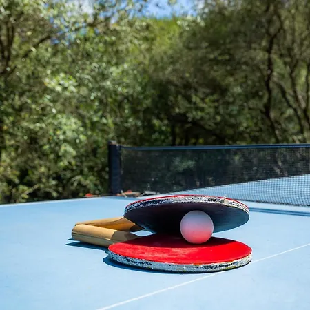 Seguinot D'alt Willa *