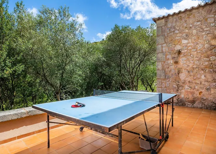 Seguinot D'alt * Pollensa