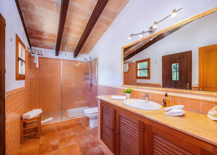 Seguinot D'alt * Pollenca