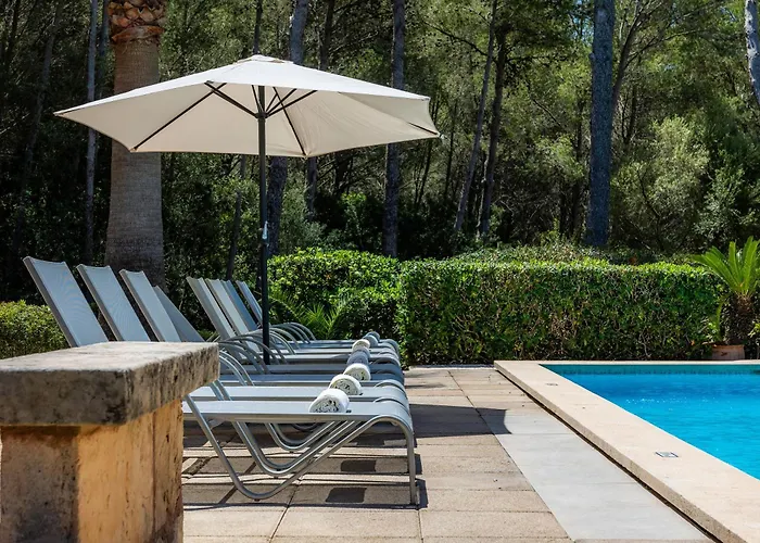 Seguinot D'alt Pollenca